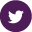 Twitter icon